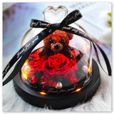 Ourson Brun sous Cloche