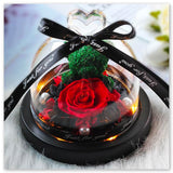 Ourson Vert sous Cloche