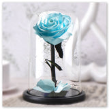 Rose Éternelle Bleu Turquoise