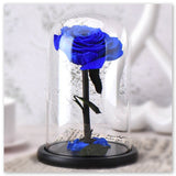 Rose Éternelle Bleue sous Cloche