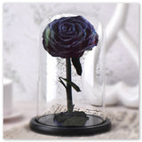 Rose Éternelle Noire sous Cloche