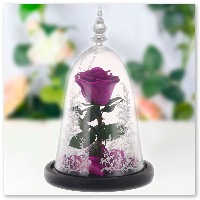 Elekin Rose eternelle sous Cloche, Boite Cadeau avec Fleurs
