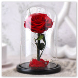 Vrai Rose Éternelle sous Cloche