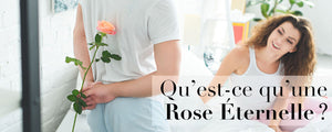 Qu’est-ce qu’une Rose Éternelle ?